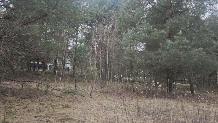 Działka Sprzedaż Wólka Kryształowa